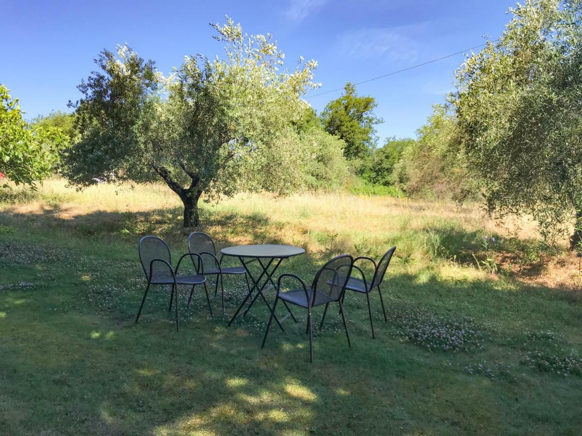 Agriturismo Testalepre Greve in Chianti Exterior photo