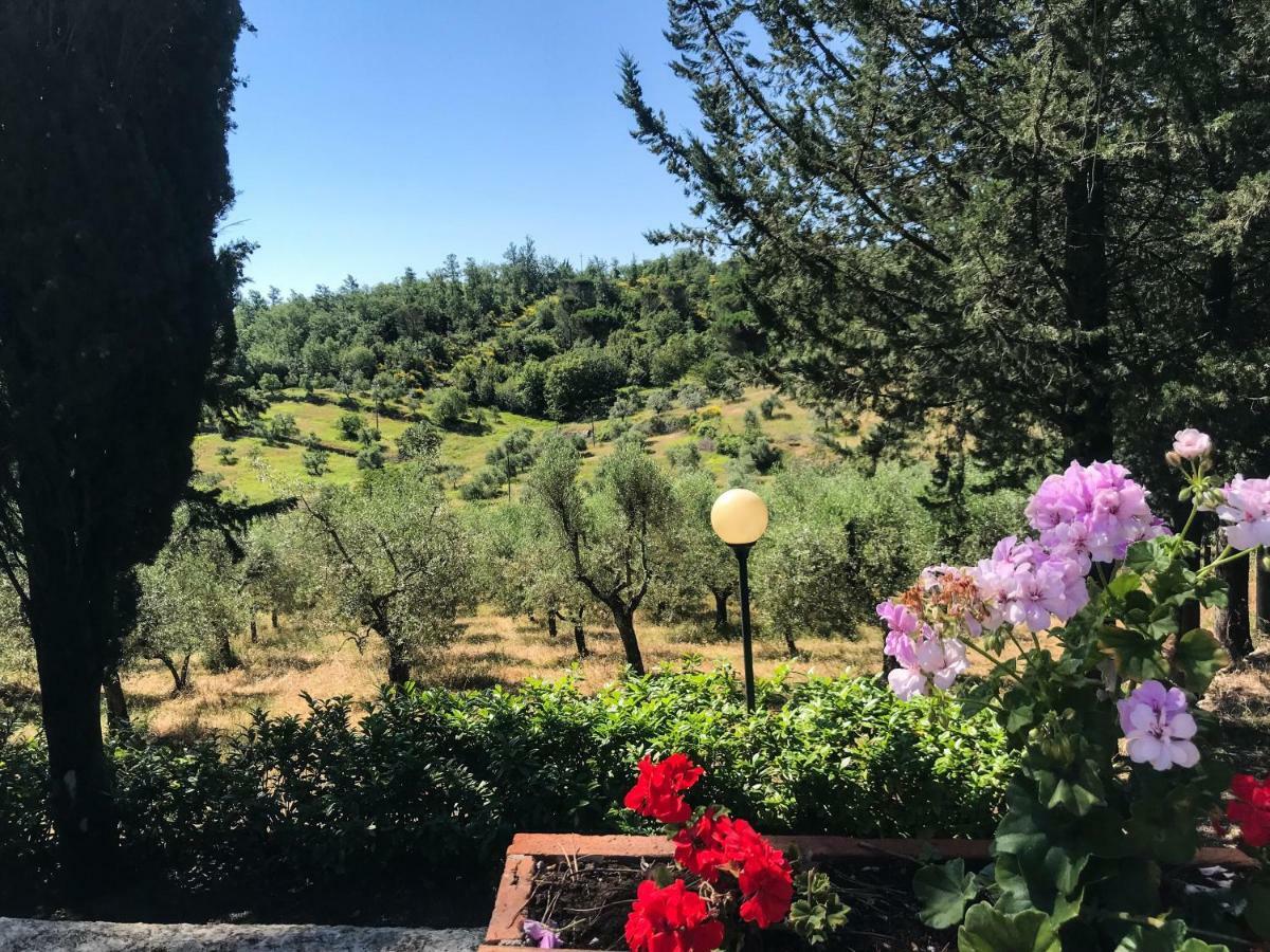 Agriturismo Testalepre Greve in Chianti Exterior photo